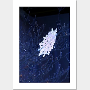 snowflake in blue 6 Posters and Art